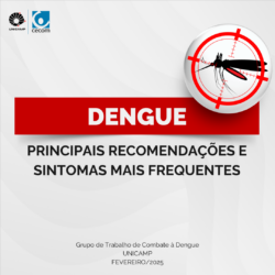 ALERTA DENGUE FEVEREIRO