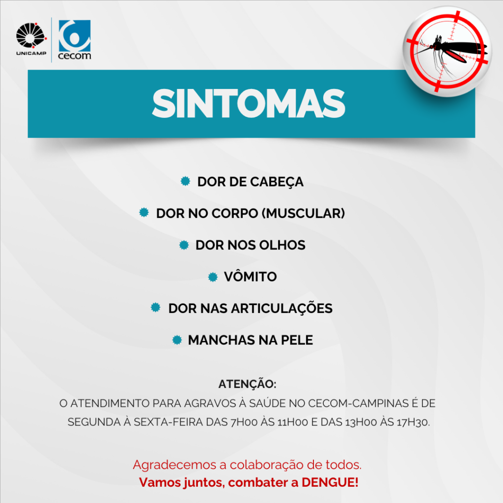 ALERTA DENGUE FEVEREIRO